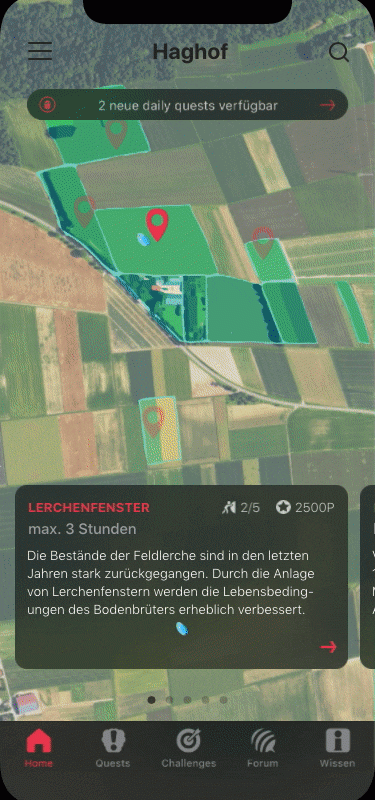 GIF zeigt die wichtigsten Gamifcation Elemente